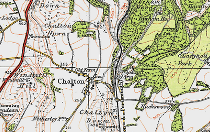 Old map of Chalton in 1919