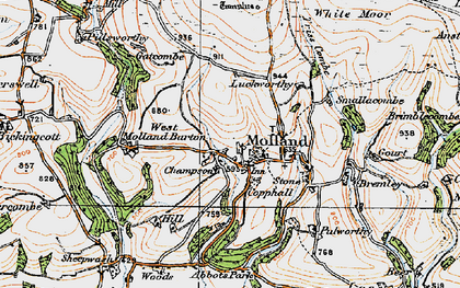 Old map of Abbotts Park in 1919