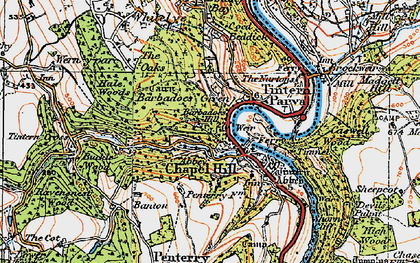 Old map of Buckle Wood in 1919