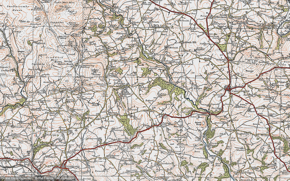 Old Map of Historic Map covering Bicton Wood in 1919
