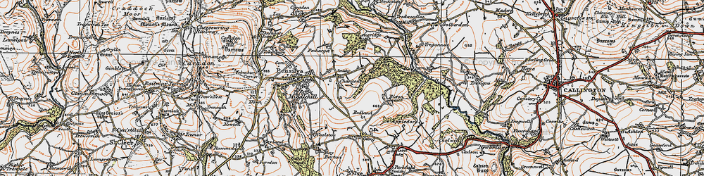 Old map of Bicton Wood in 1919