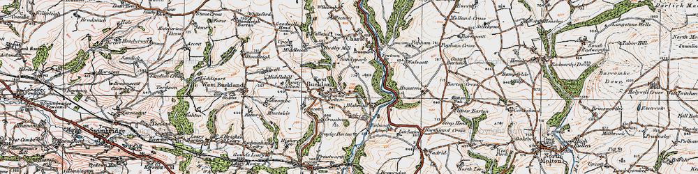 Old map of Brayley Hill in 1919