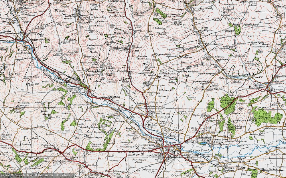 Old Map of Charlton Down, 1919 in 1919