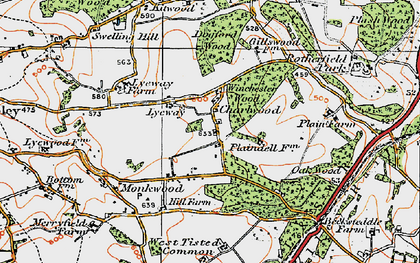 Old map of Charlwood in 1919