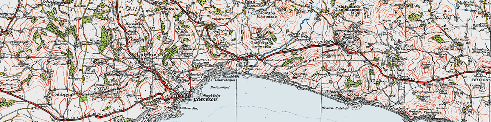 Old map of Black Ven in 1919