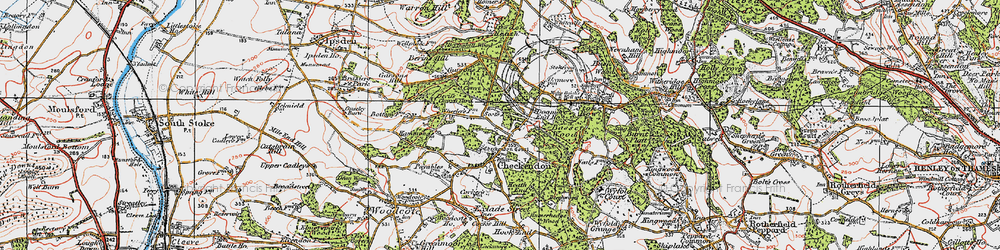 Old map of Basset Wood in 1919