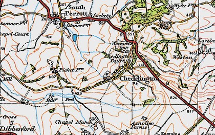 Old map of Chedington in 1919