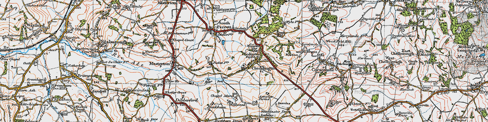 Old map of Chedington in 1919