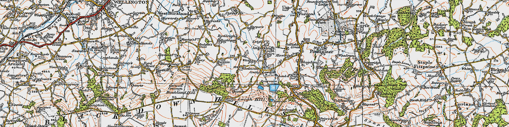 Old map of Chelmsine in 1919