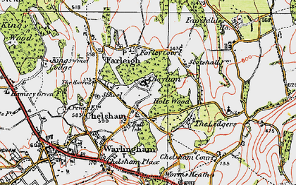 Old map of Chelsham in 1920