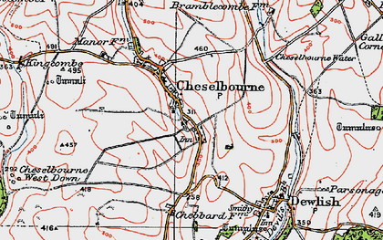 Old map of Puddletown Down in 1919