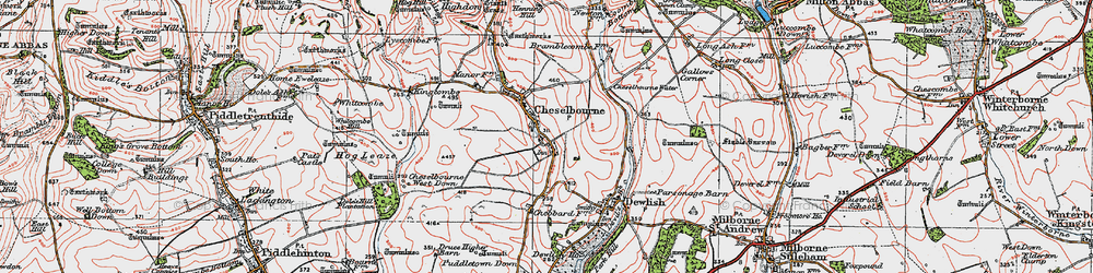 Old map of Puddletown Down in 1919