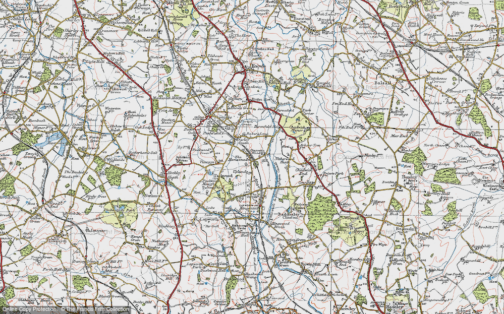 Old Map of Chessetts Wood, 1919 in 1919