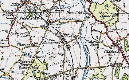 Old map of Chessetts Wood in 1919