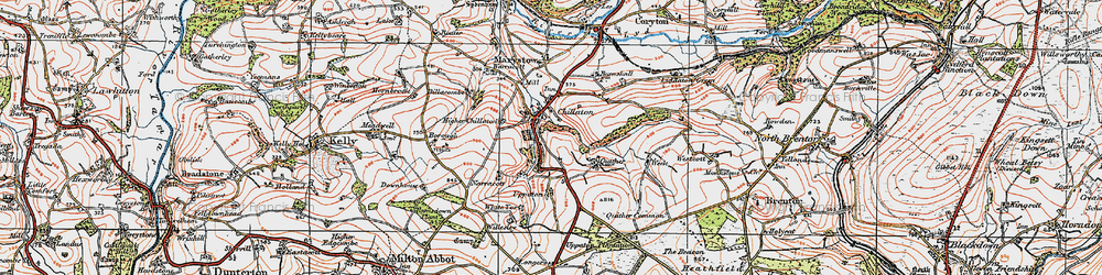 Old map of Marystow in 1919