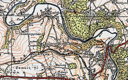 Old map of Blanchdown Wood in 1919