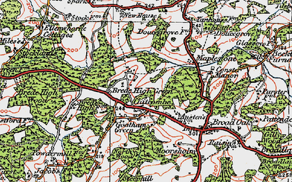 Old map of Brede Green Cott in 1921