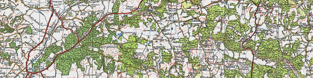 Old map of Chorley Common in 1919