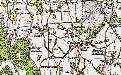 Old map of Chute Standen in 1919