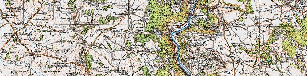 Old map of Bargain Wood in 1919