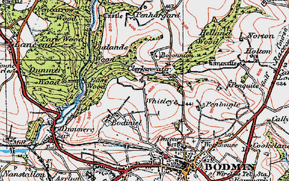 Old map of Whitley in 1919