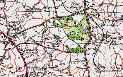 Old map of Clowance Wood in 1919