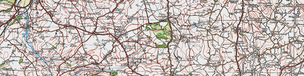 Old map of Clowance Wood in 1919