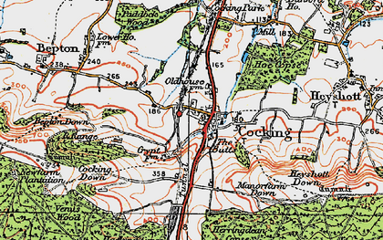 Old map of Cocking in 1919