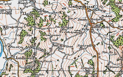Old map of Coed Cwnwr in 1919