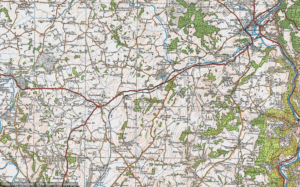 Old Map of Coed-y-fedw, 1919 in 1919