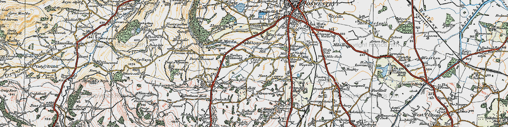 Old map of Coed y go in 1921