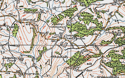 Old map of Coed-y-paen in 1919