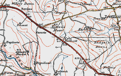 Old map of Cold Northcott in 1919
