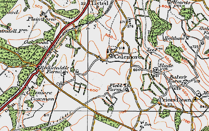 Old map of Colemore in 1919