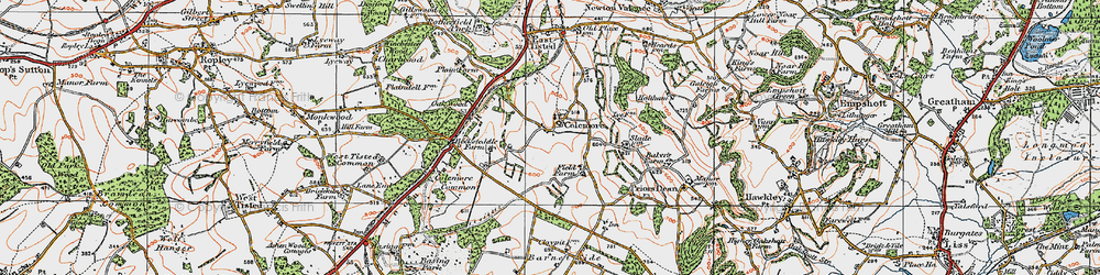 Old map of Colemore in 1919