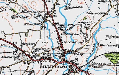 Old map of Colesbrook in 1919