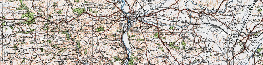 Old map of Backs Wood in 1919