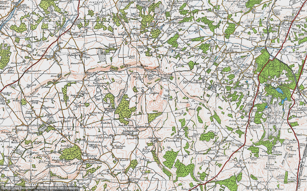 In 1919