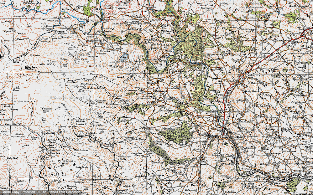 Old Map of Historic Map covering Brook Wood in 1919