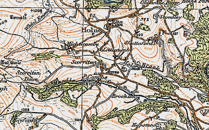 Old map of Brook Manor in 1919