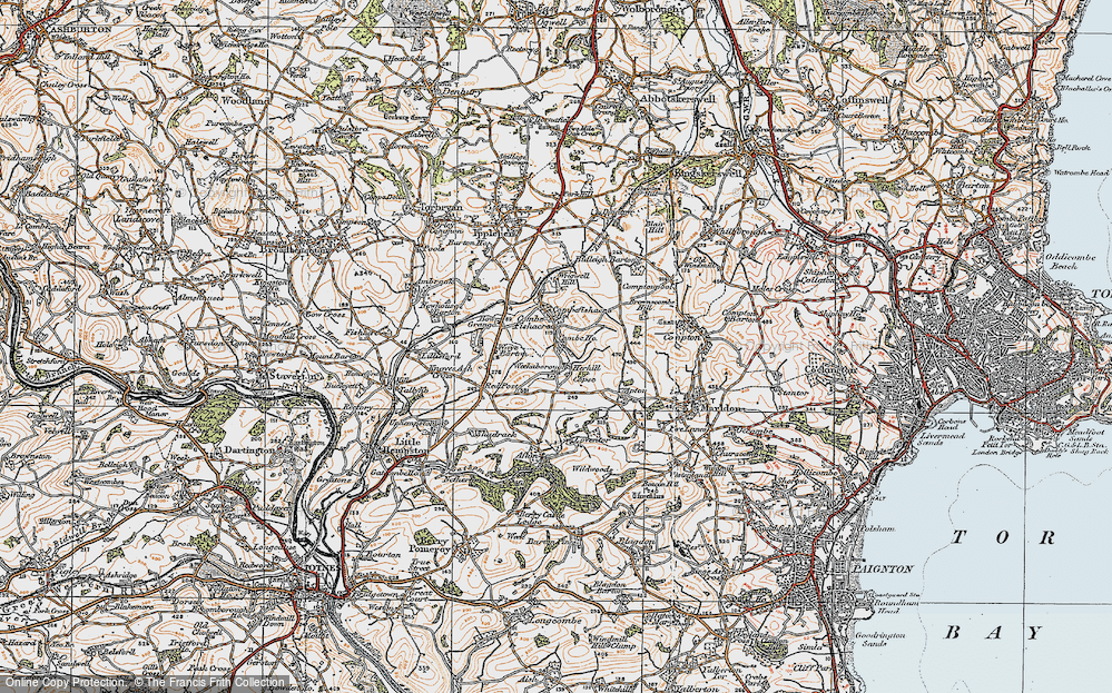 Historic Ordnance Survey Map Of Combe Fishacre, 1919