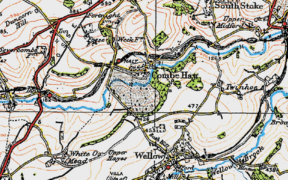 Old map of Combe Hay in 1919
