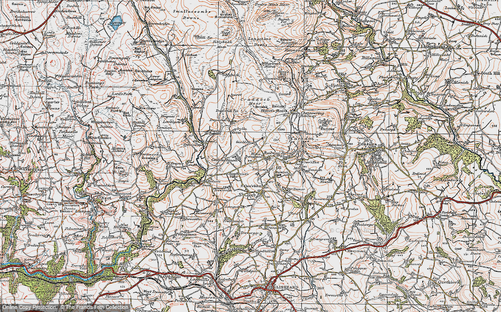 Old Map of Common Moor, 1919 in 1919