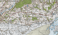 Common-y-coed, 1919