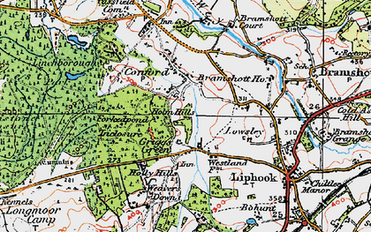 Old map of Woolmer Forest in 1919