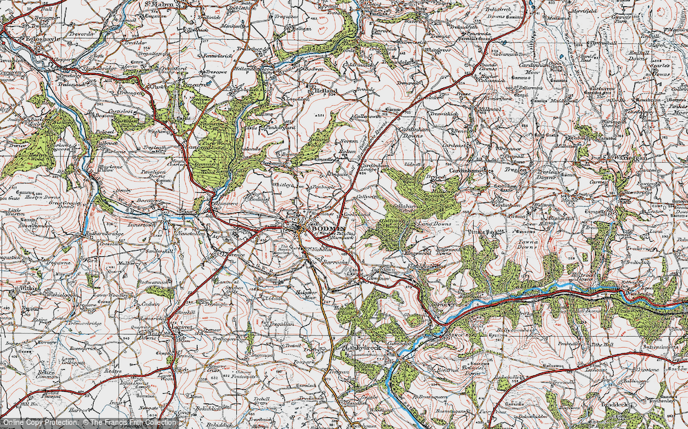 Historic Ordnance Survey Map of Cooksland, 1919