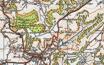 Old map of Wimley Hill in 1919