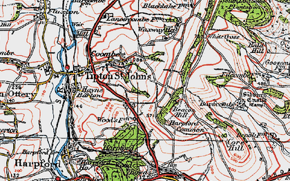 Old map of Coombe in 1919