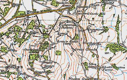 Old map of Coombe in 1919