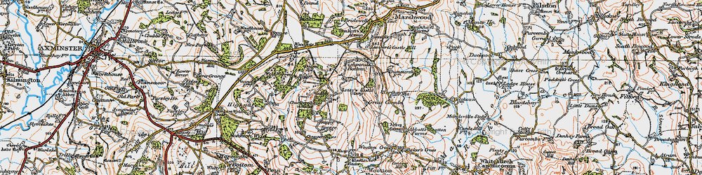 Old map of Coombe in 1919